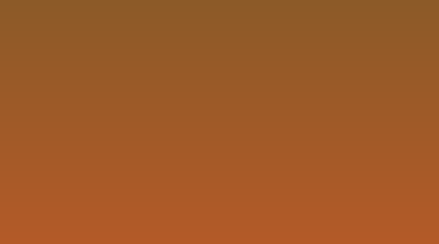 Placeholder image: a solid orange rectangle