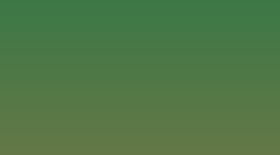 Placeholder image: a solid green rectangle